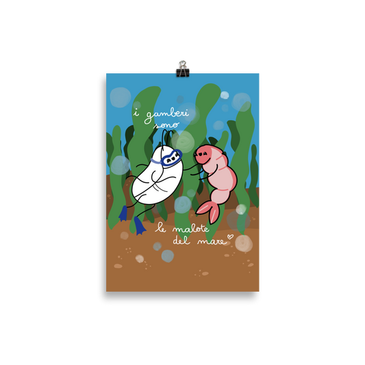 "I gamberi sono le malote del mare" - Illustrazione